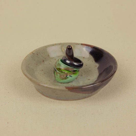 Tortoise Ring Dish 2